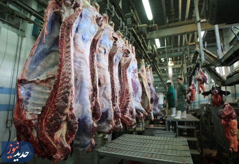 افزایش عرضه دام و کاهش قیمت گوشت