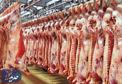 تدبیر دولت | افزایش عرضه گوشت قرمز در بازار